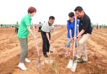 �����م��c��(n��i)�ɹ�ֲ����